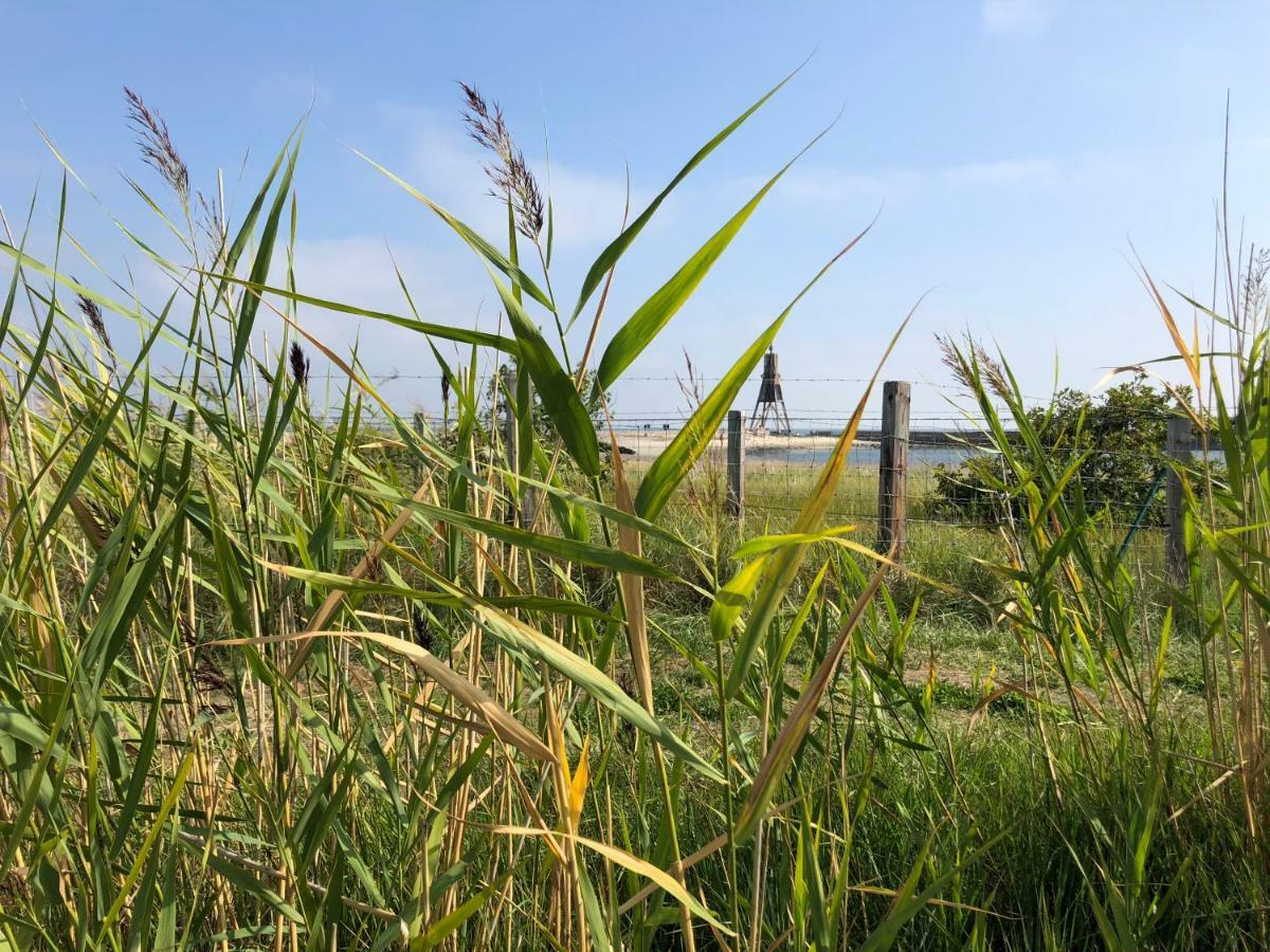 Noord Huus Ferienapartment Cuxhaven Eksteriør bilde